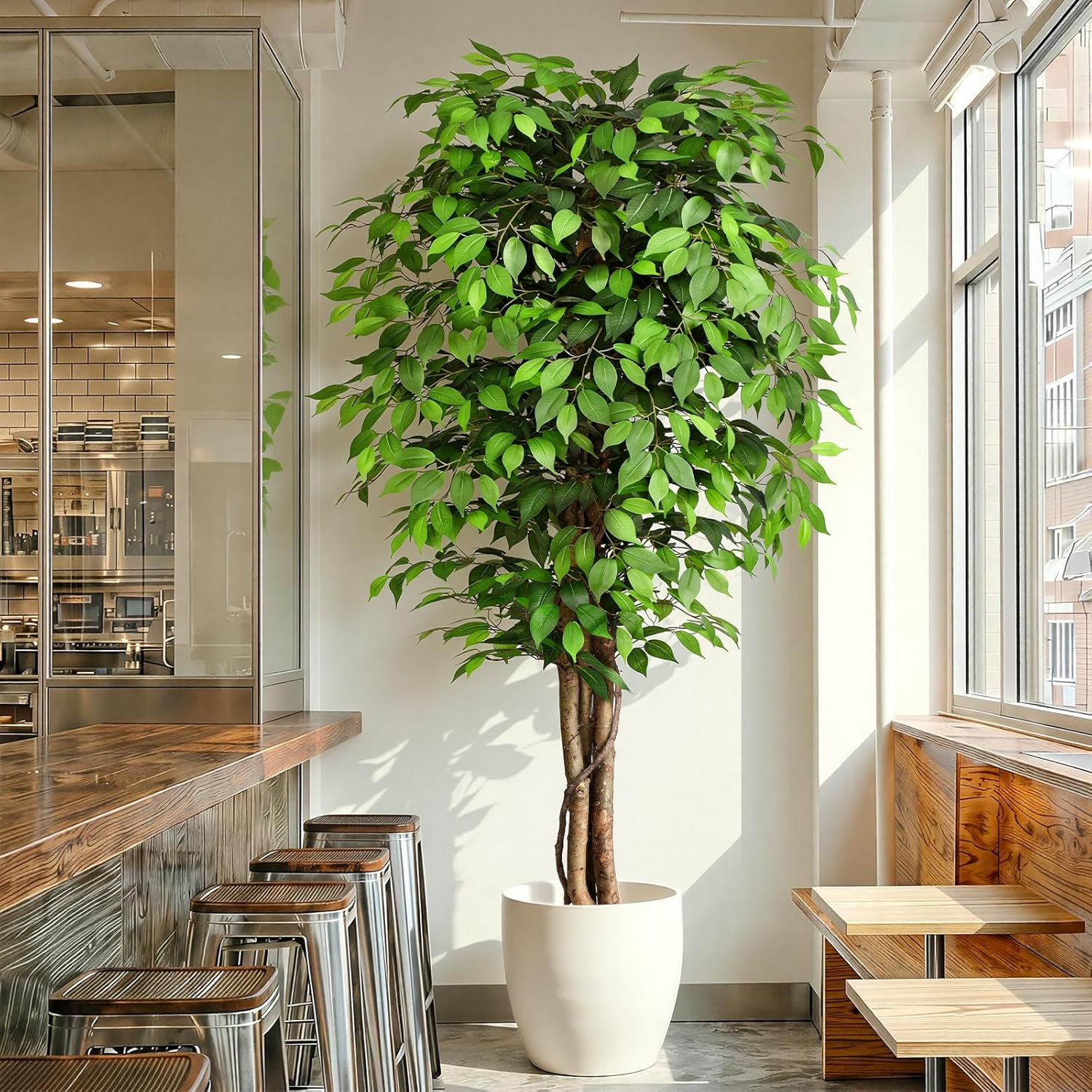Ficus Lyrata Tree - 실제와 같은 인조 고무나무, 자연스러운 줄기와