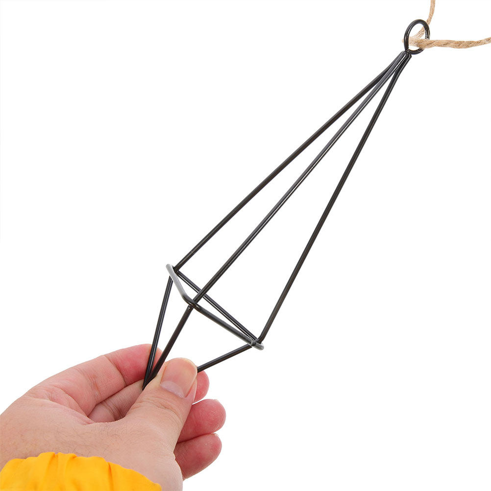 Spider Plant Hanging - 2개 세트, 벽에 걸 수 있는