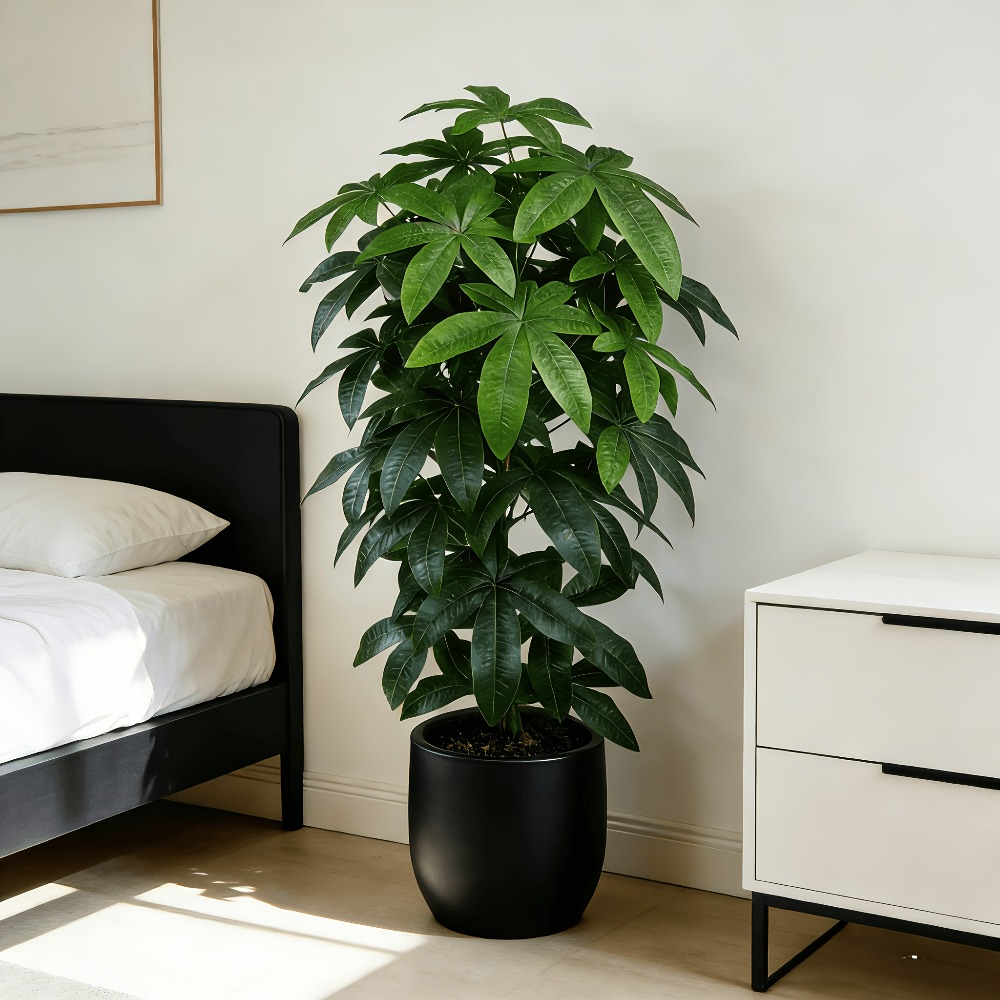Ficus Lyrata Tree - 과학적인 돈나무 특징을 지닌 인공 돈나무