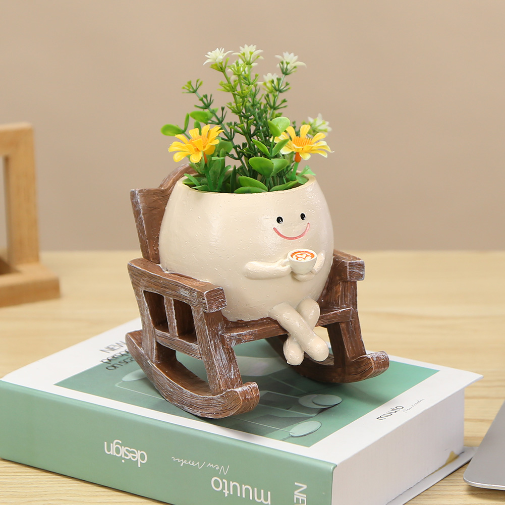 창의적인 흔들의자/그네 모양 다육식물 화분, 실내외 식 - Echeveria Succulent 리뷰 및 가격