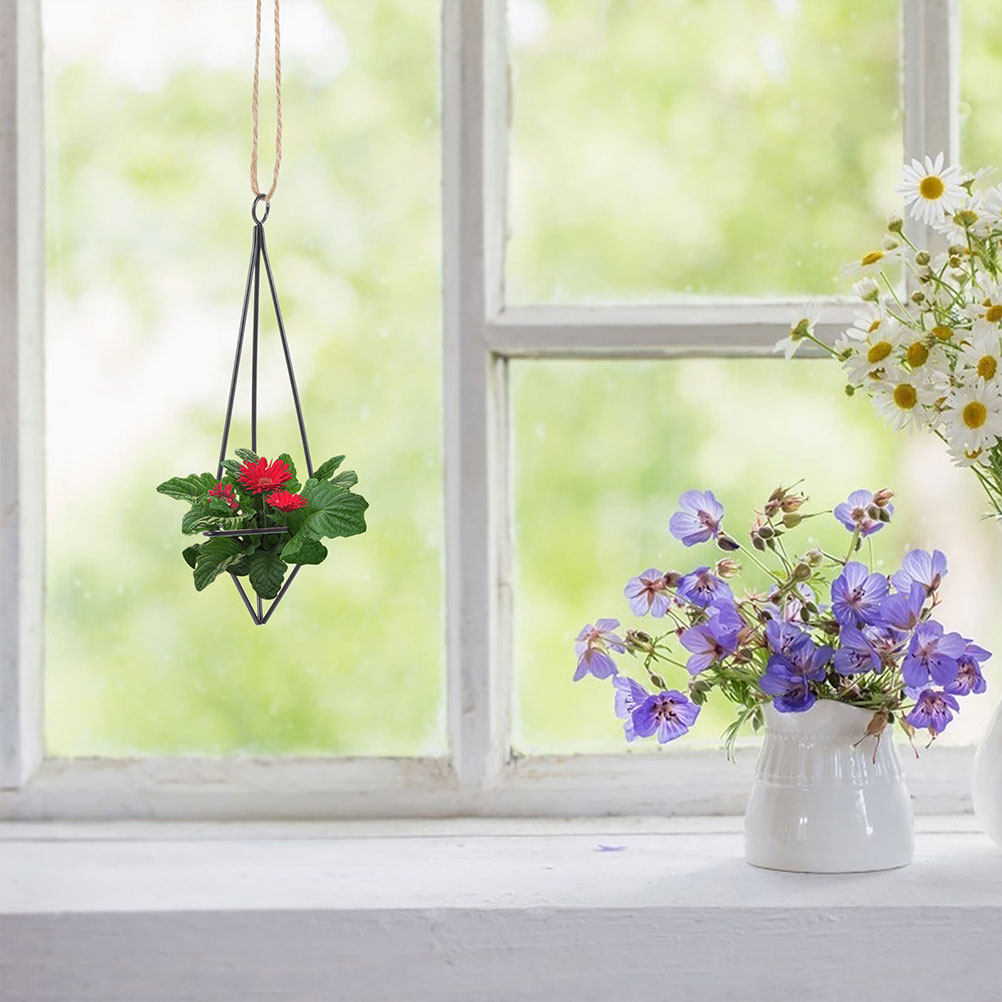 2개 세트, 벽에 걸 수 있는 공기 식물 홀더, 금속  - Spider Plant Hanging 리뷰 및 가격