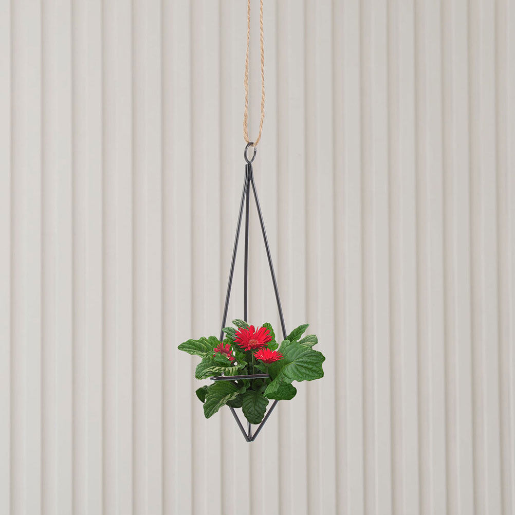 2개 세트, 벽에 걸 수 있는 공기 식물 홀더, 금속  - Spider Plant Hanging 리뷰 및 가격