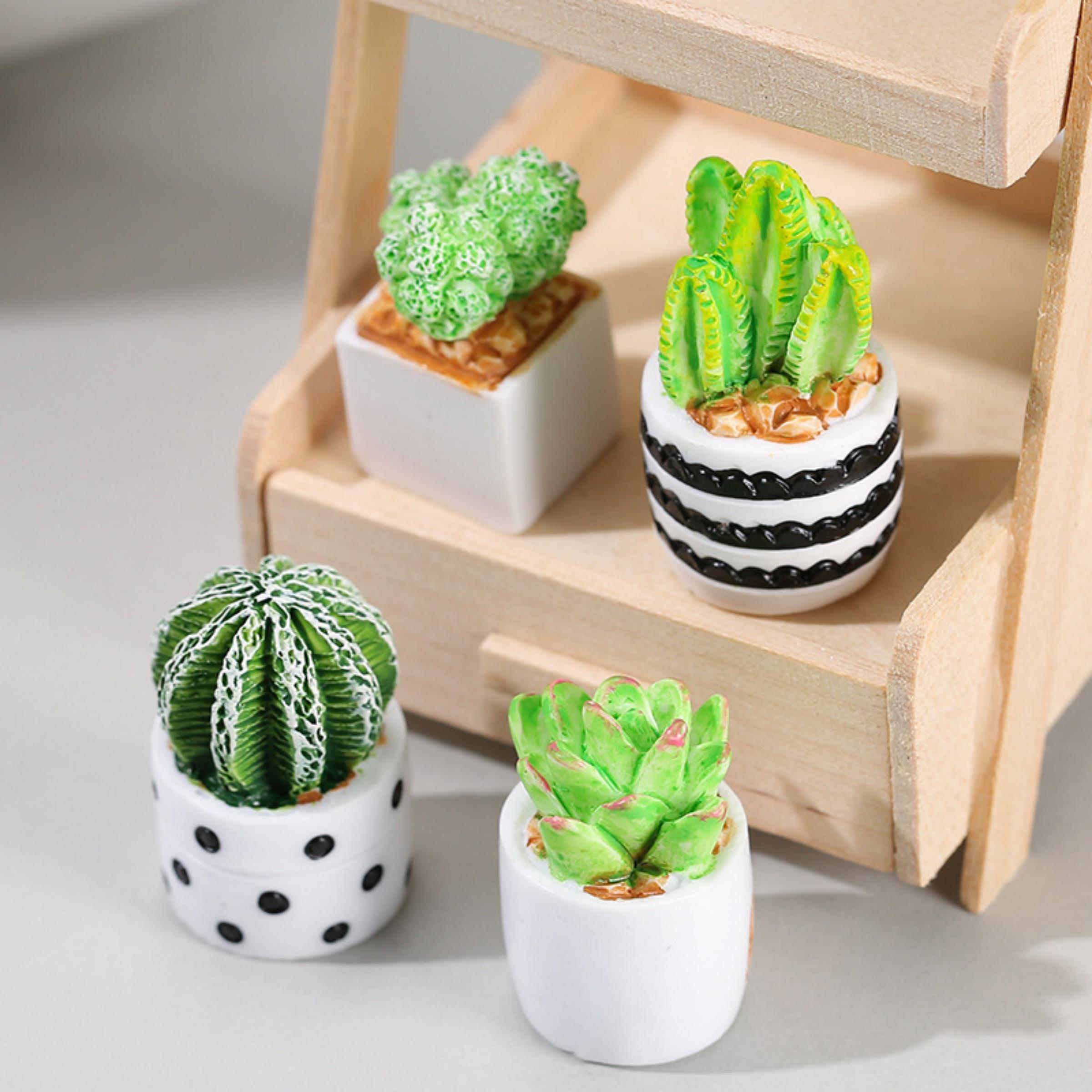 선인장 다육 식물 화분 4종 세트, 요정 정원 액세서리 - Echeveria Succulent 리뷰 및 가격