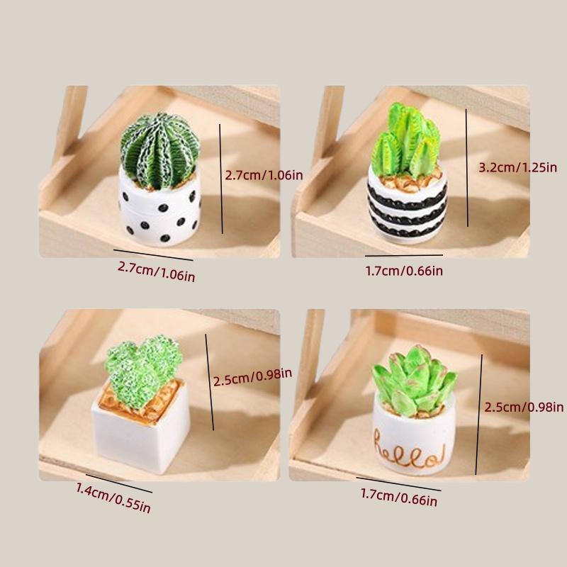 선인장 다육 식물 화분 4종 세트, 요정 정원 액세서리 - Echeveria Succulent 리뷰 및 가격